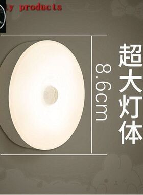 PIR Motion Sensor LED Night Light USB Rechargeable Lamp