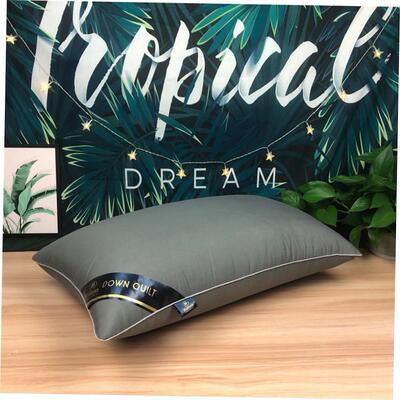 希尔顿Hilton枕头芯五星