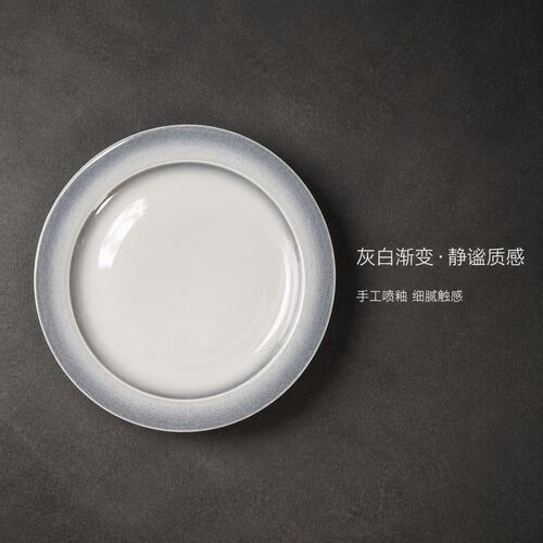 Round Ceramic Steak Dinner Plates Set of 4 / Set of 6