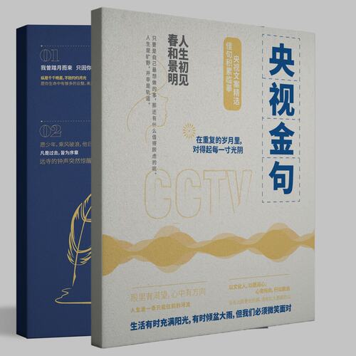人民日报金句字帖主持人文案楷书