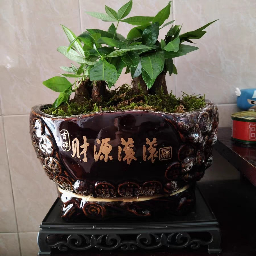 金钱袋花盆创意大号简约时尚花瓶