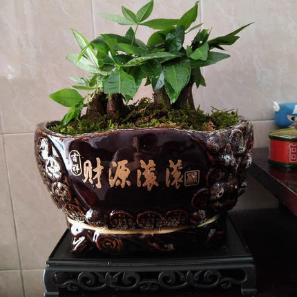 金钱袋花盆创意大号包邮古典陶瓷客厅简约时尚花器个性发财树花瓶