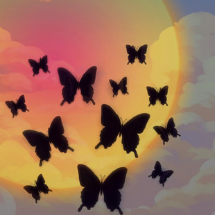 黑色立体仿真蝴蝶背景墙面装饰创意3D贴画玻璃冰箱贴窗帘遮挡瑕疵