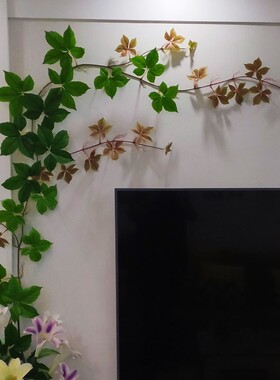 仿真爬山虎假花墙壁绿植物藤条空调暖气管道缠绕电线遮挡遮丑补洞