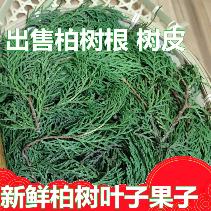 新鲜柏树果子柏树皮树根500g晒干香柏种子籽果壳干货做香手工包邮