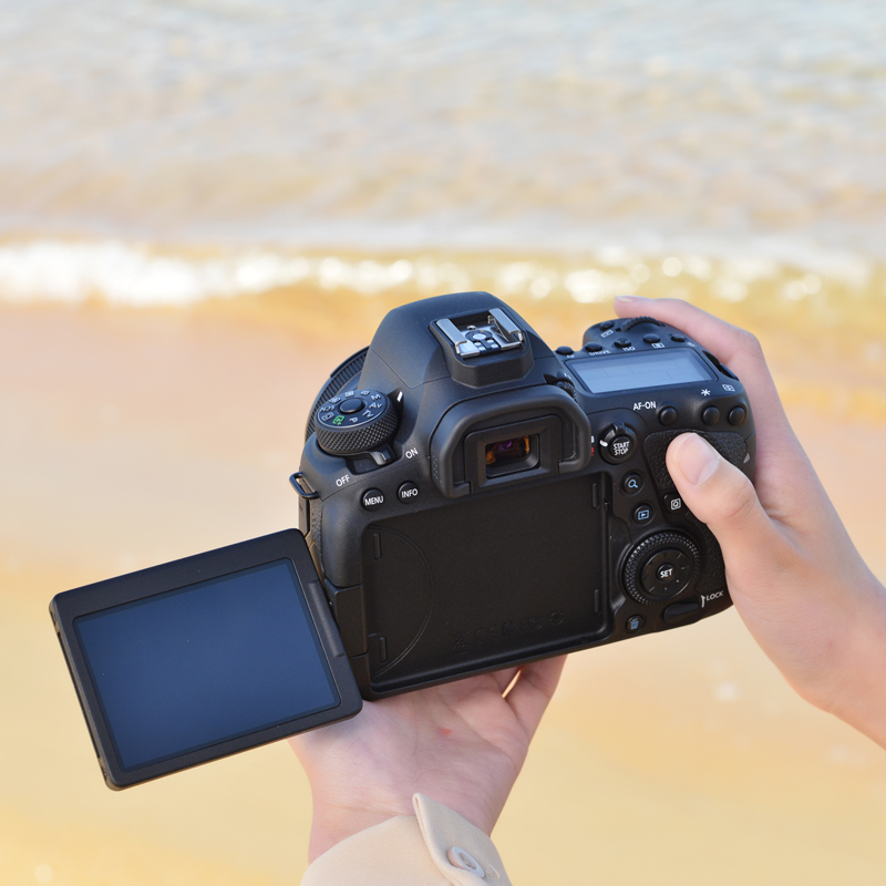 6d2µ¥»úÉí Canon/¼ÑÄÜ EOS 6D Mark II ÂìÒÏÉãÓ°È«·ùµ¥·´ÊýÂëÏà»ú