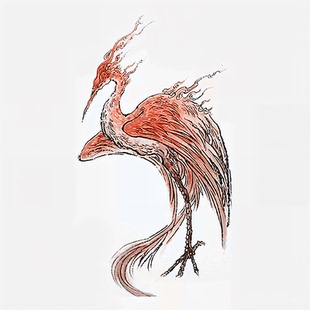 【万能补拍】1元运费 bjd 毕方人形社