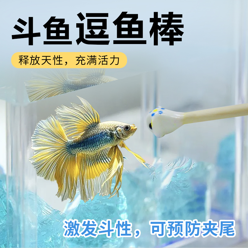逗鱼棒斗鱼棒半月斗鱼手工制作