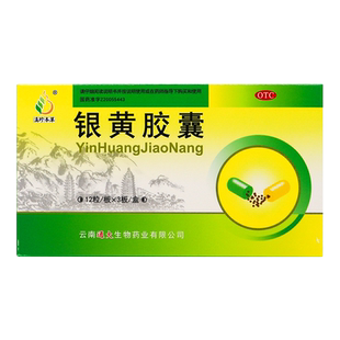 滇珍本草银黄胶囊36粒清热解毒急慢性扁桃体炎咽喉炎上呼吸道感染