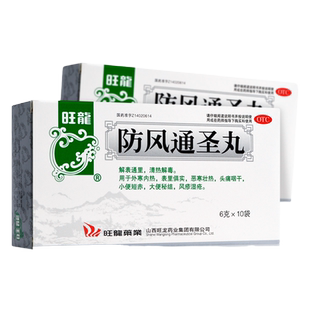 旺龙防风通圣丸6g*10袋/盒 清热解毒解表通里大便秘结风疹湿疮