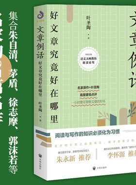 文章例话：好文章究竟好在哪里 叶圣陶著语文大师教你能读会写阅读与写作我的读写知识青少年欣赏好文章基础入门写作课书籍