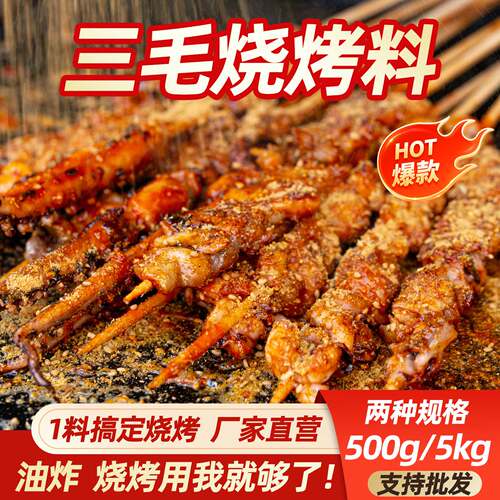 开店商用三毛烧烤料500g