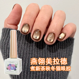 燕翎新章系列秋冬爆闪猫眼破冰船碎钻星球闪粉莫兰迪超细磁粉猫眼