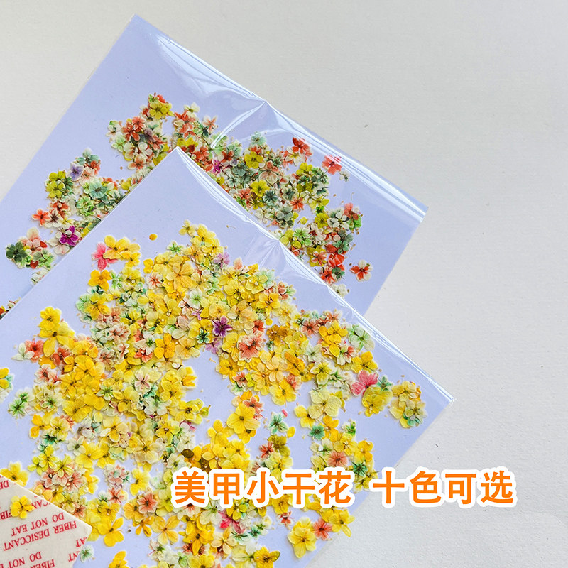 日式ins风美甲干花莫奈花园油画配色小花碎花混合diy材料指甲饰品