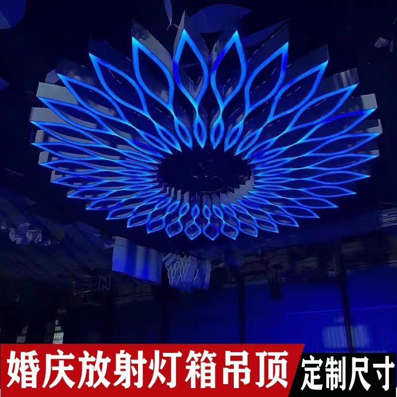 新款婚庆铁艺大型放射性发光蜂窝吊顶莲花灯箱酒店婚礼堂装饰道具