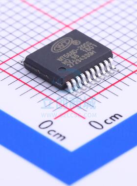 音频接口芯片 WT588D-20SS SSOP-20_208mil WT(唯创知音)