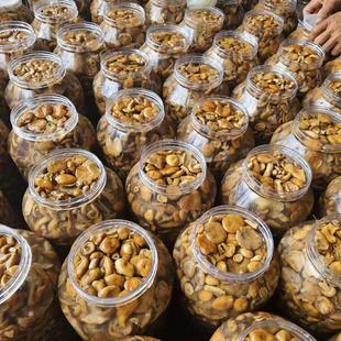 枞树菌新鲜活松树菌清水菌一桶3斤饭店专用精品寒菌重阳菌松乳菇