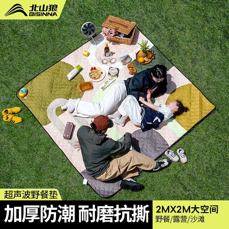 野餐垫可折叠便携式草地超大沙滩垫子春游加厚露营布儿童2025新款