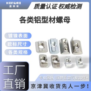 铝型材螺母T型螺母20/30/40/45欧标铝型材滑块弹片钢珠螺帽船型