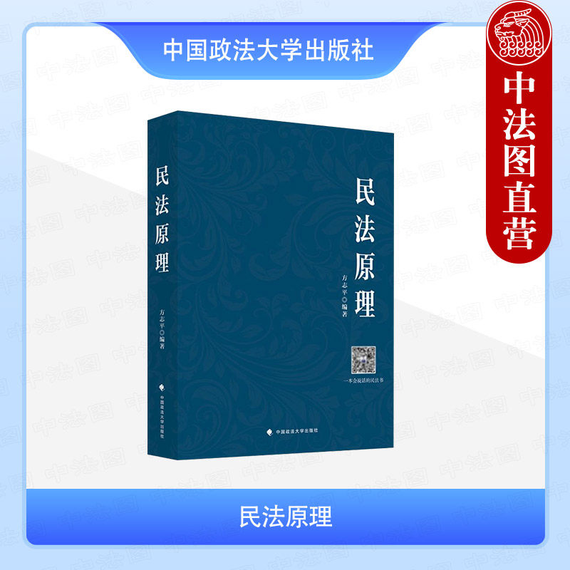 正版 民法原理 方志平 中国政法大学出版社 备战法考 辅助备战法硕 法学院民法教科书 法律实务 民法教材辅导书 方志平民法