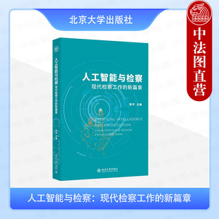 正版 人工智能与检察：现代检察工作的新篇章 陈岑 北京大学出版社 大数据法律监督社会治理刑事执行民事行政公益诉讼检察业务
