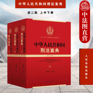 正版 中华人民共和国刑法案典 第二版 上中下册 袁登明 法院 根据刑法修正案十一相关司法解释修订 刑事审判实务条文案例工具书