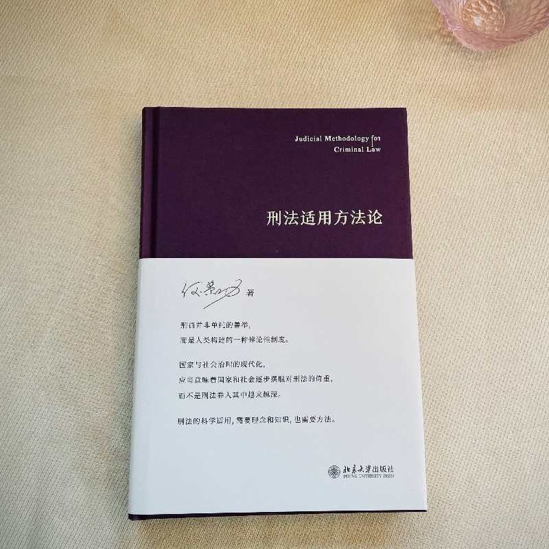 正版 刑法适用方法论 何荣功 北京大学出版社 刑法适用基本立场方法论形式实质行为被害事实规范原则 司法机关办案律师研究生学习