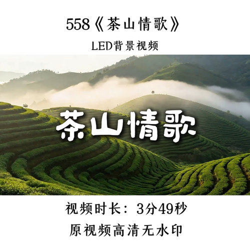 558《茶山情歌》舞蹈LED背景视频歌曲MV舞台大屏晚会表演