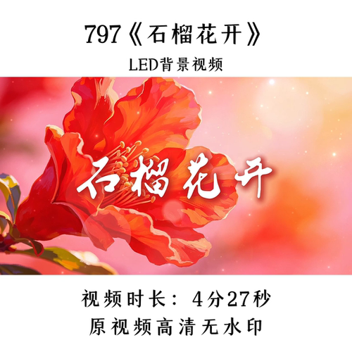 797《石榴花开》舞蹈LED背景视频歌曲MV舞台大屏