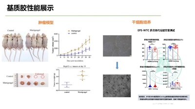 康宁平替ABW基质胶0827045 标准型对标 356234