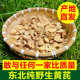 东北野生黄芪中药材中草药泡水切片中药干货黄芪干黄芪片