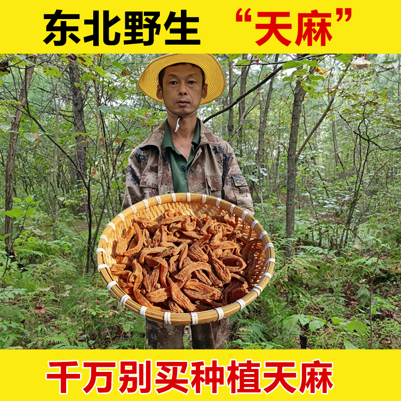 东北野生天麻干货中药材正品中药正宗纯野生泡酒天麻干东北老天麻