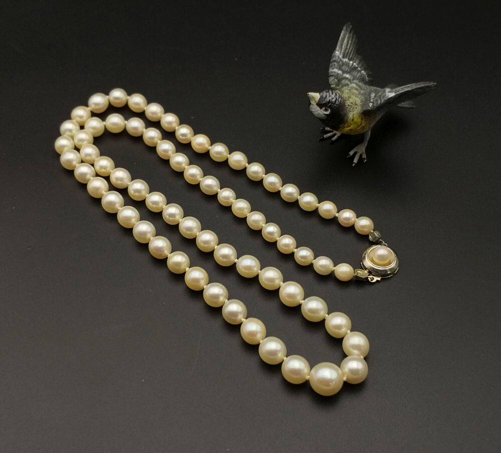 德国JKA公司585黄金扣AKOYA海水珍珠塔链 长54cm 重31.7克 l