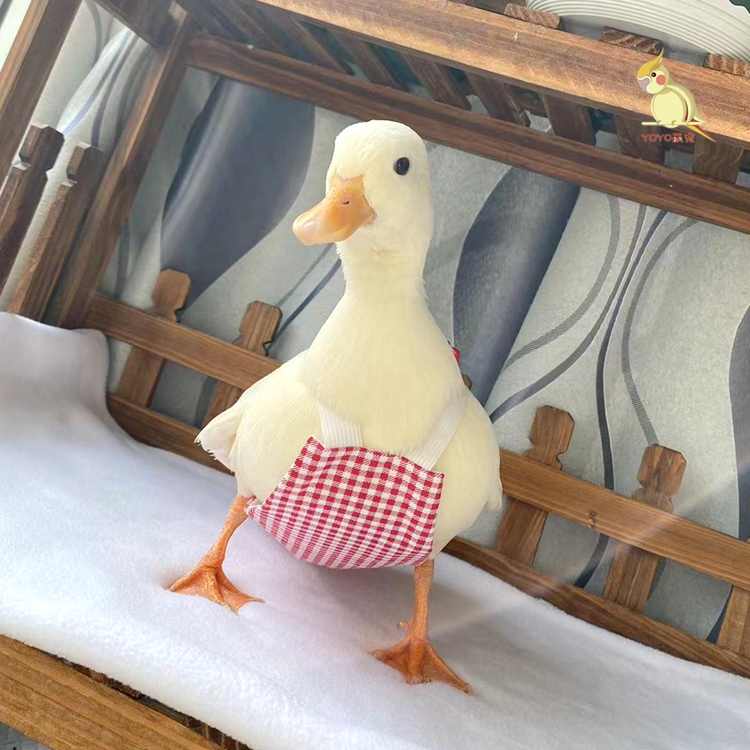 立体加到屎兜防水尿不湿