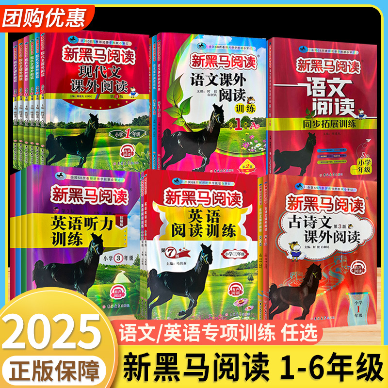 新黑马阅读123456年级专项训练