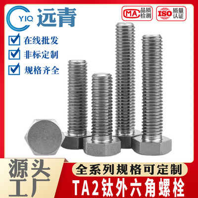 钛合金螺丝TA2纯钛外六角螺丝螺栓外六方螺杆TA1/CT4/Gr5支持定制