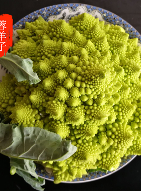 蓉羊子生鲜农家新品生态绿色新鲜欧美食材宝塔菜宝塔花菜1500g