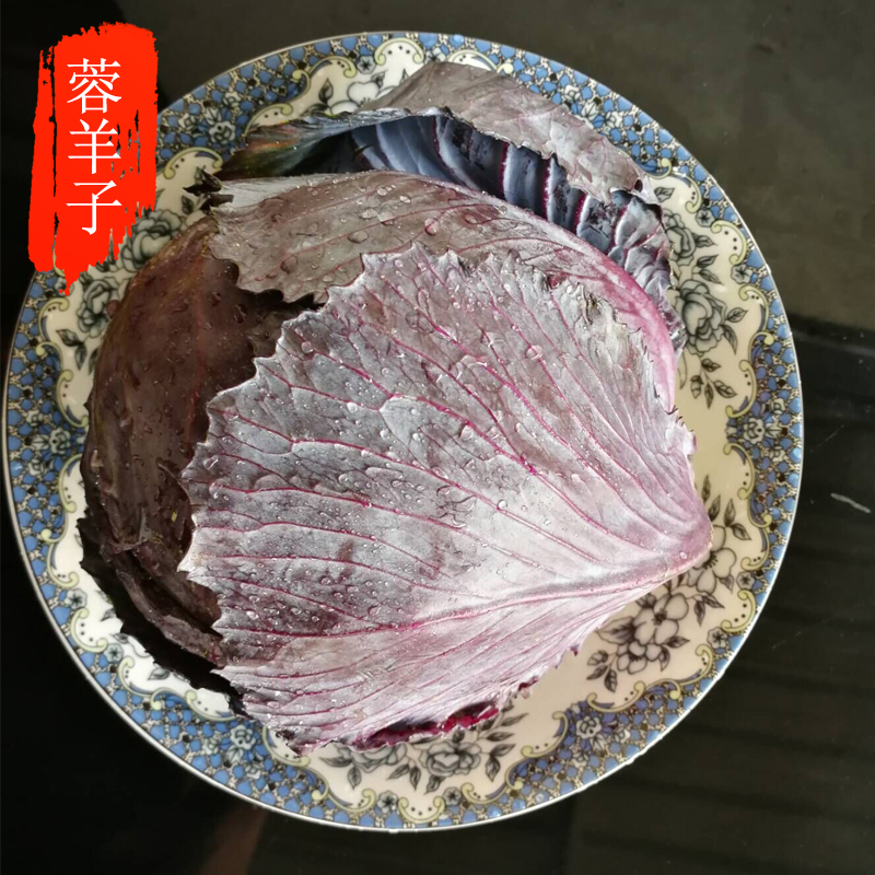 蓉羊子生鲜农家新品生态绿色新鲜紫甘蓝菜凉拌紫甘蓝2500克