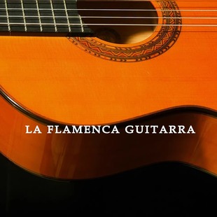 LA FLAMENCA-LA34柏木 传统弗拉门戈吉他