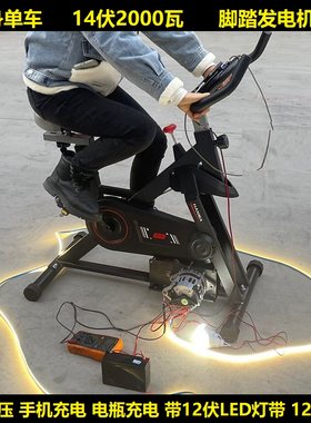 脚踏发电机2000瓦无刷