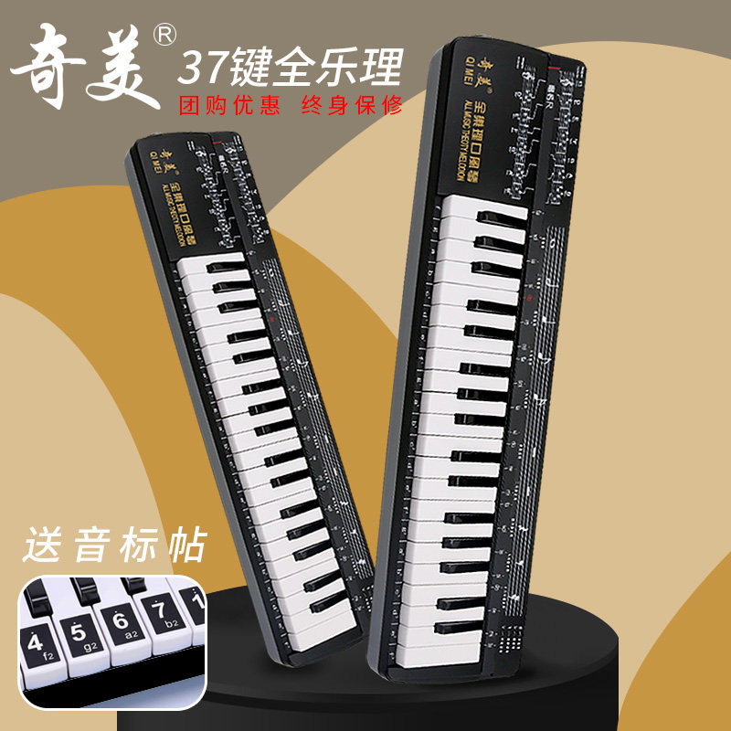 奇美37键全乐理口风琴学生用