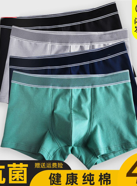 2/4男士内裤春夏纯棉抗菌透气四角短裤弹性青年平角底裤DF