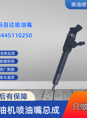 马自达BT-50皮卡RANGER 2.5喷油嘴WLAA-13-H50 0445110250喷油器