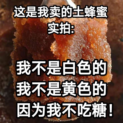 六盘山深山天然野生中华土蜂蜜