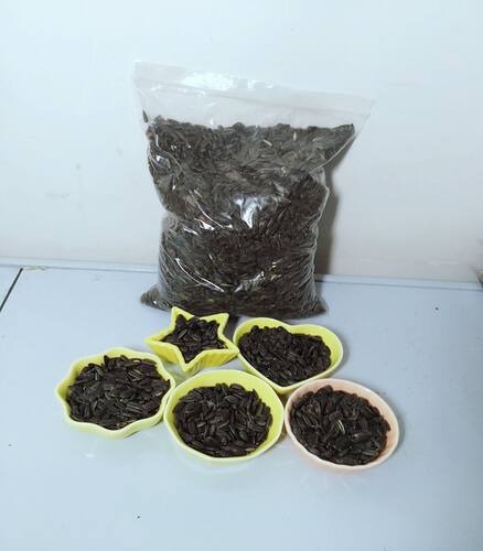 生瓜籽葵花子仓鼠最爱小黑珍珠
