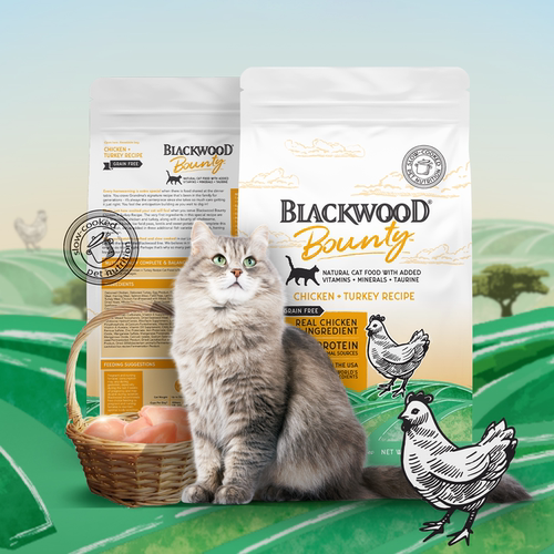美国BLACKWOOD黑林珀萃无谷鸡肉火鸡红肉三文鱼虹鳟成幼猫粮12磅