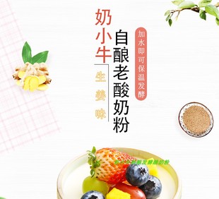 多益生菌 奶小牛家用商用 发酵酸奶粉 奶茶饮餐饮业 生姜味 500g