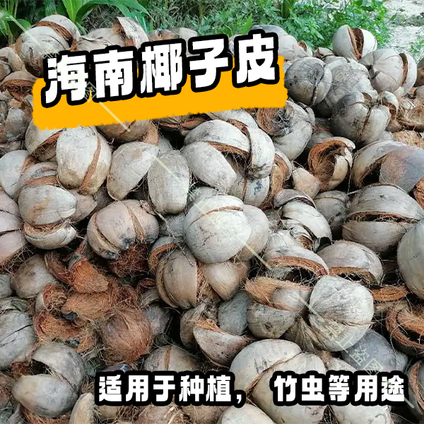 椰子皮新鲜椰子皮老椰子皮椰棕丝椰糠营养土寄居蟹竹虫饲料