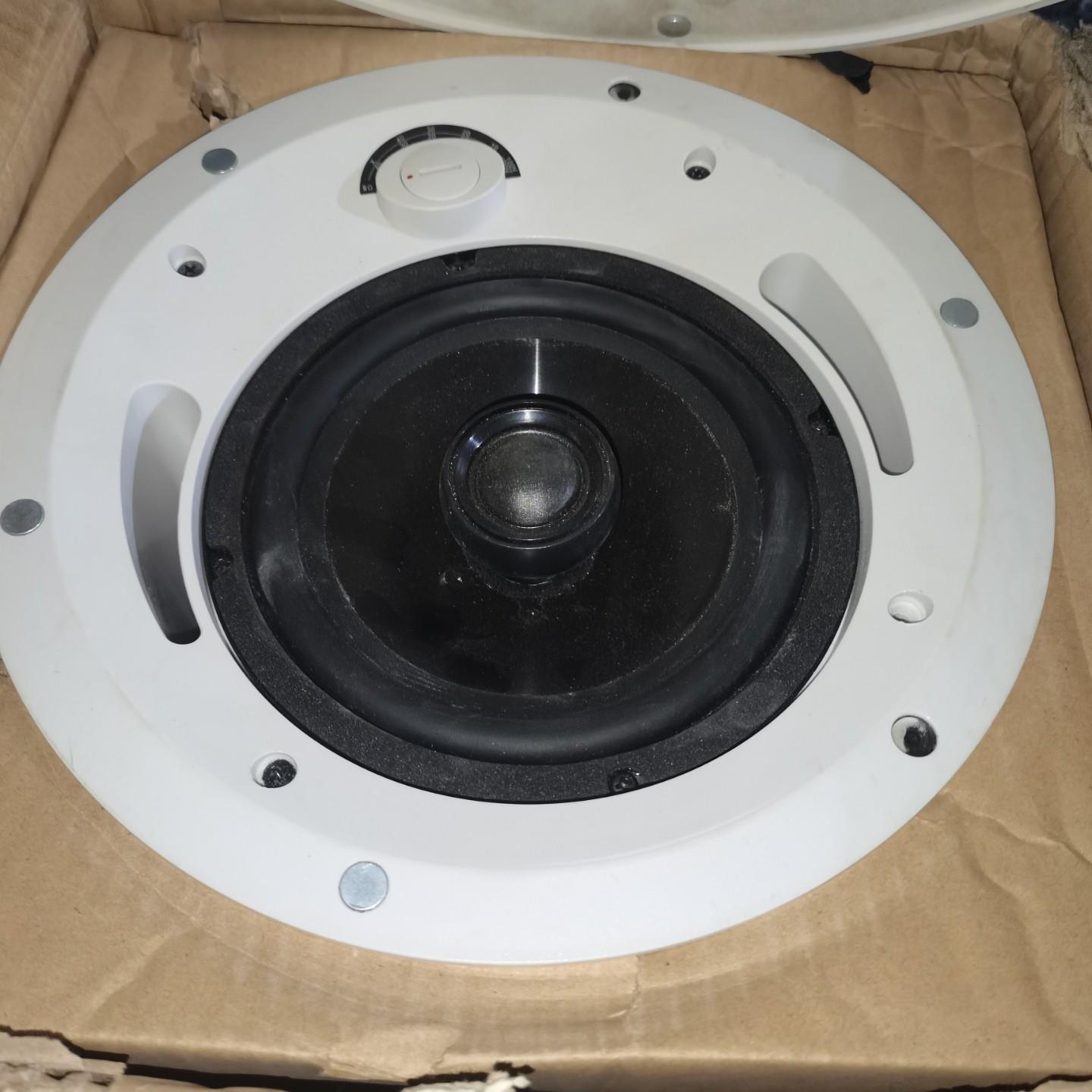 Clearvoice Systems Ci6T 吸顶扬声器
