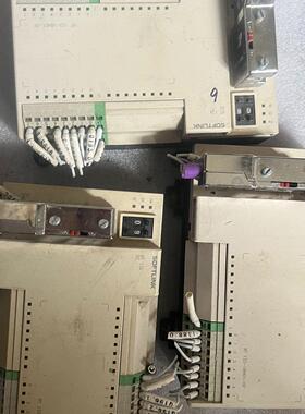 SOFTLINK 智能控制器 RT133-1BL01-DP